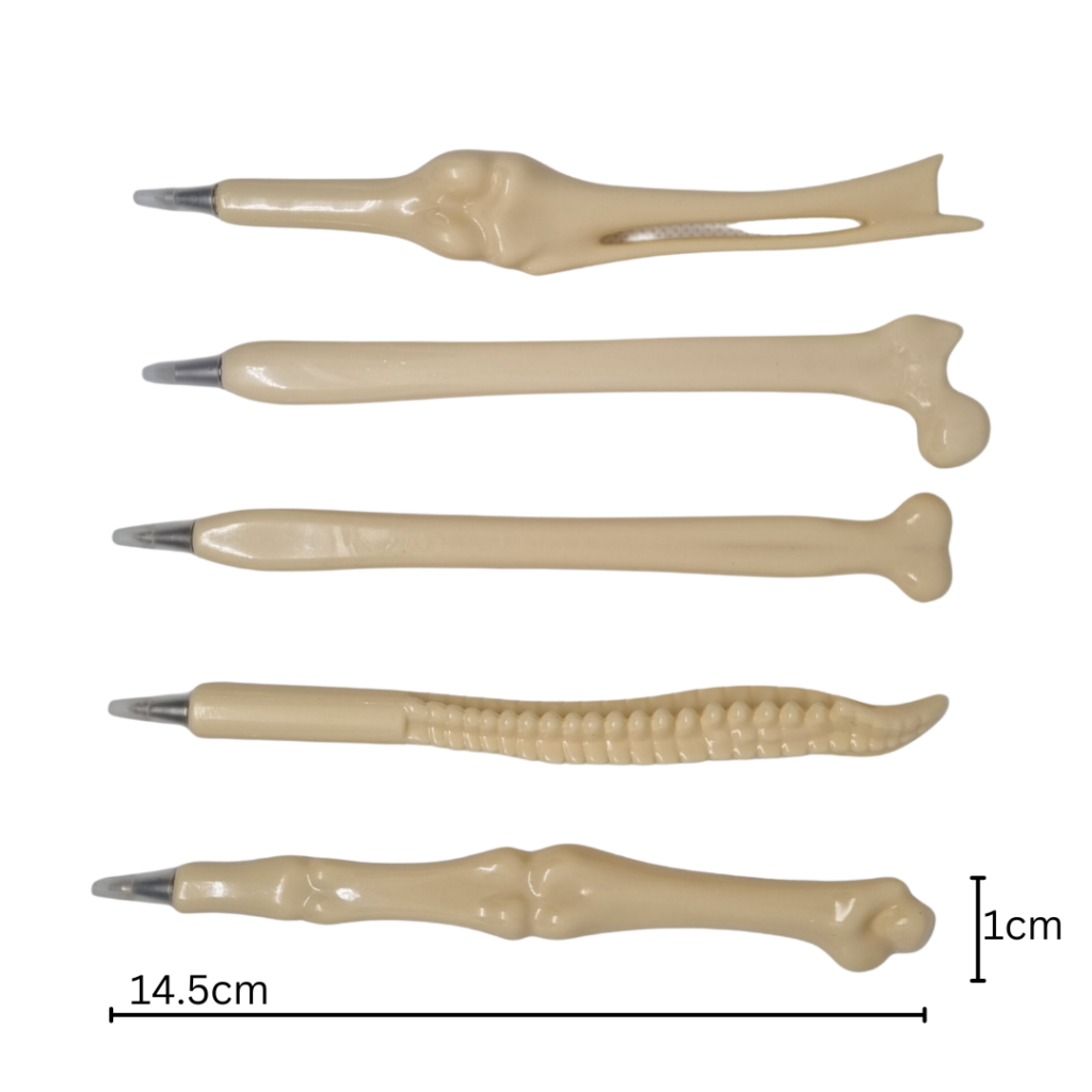 Bone pens measurements