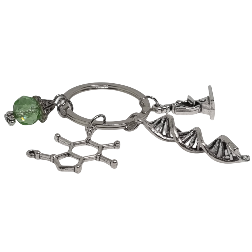 DNA helix keychain 2