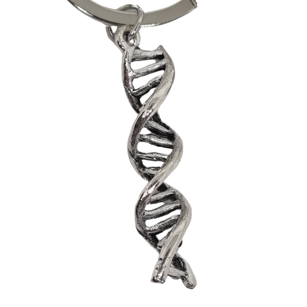 DNA helix keychain 4