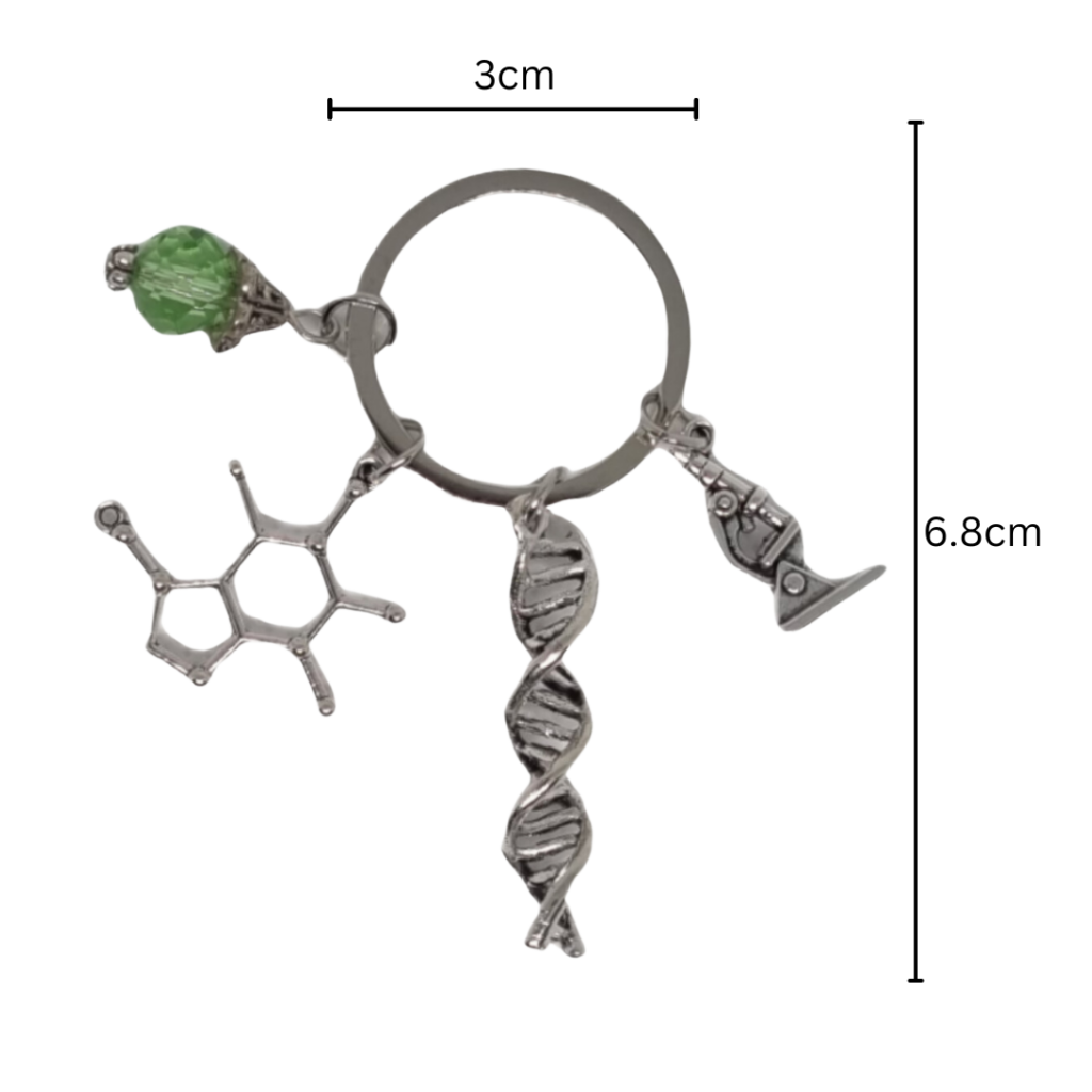 DNA helix keychain measurements