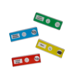 Microscope Slides