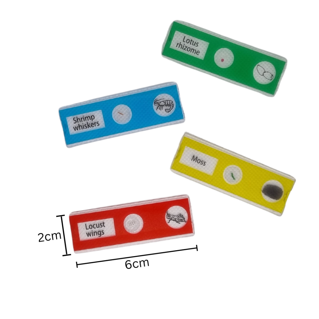 Slides measurement